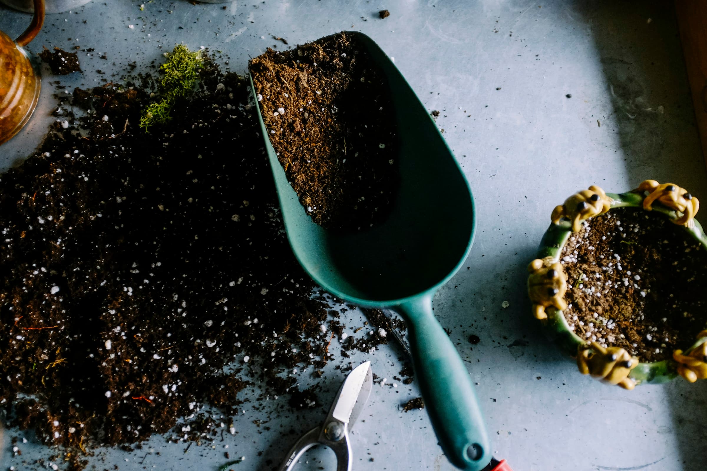 Gartenpflege